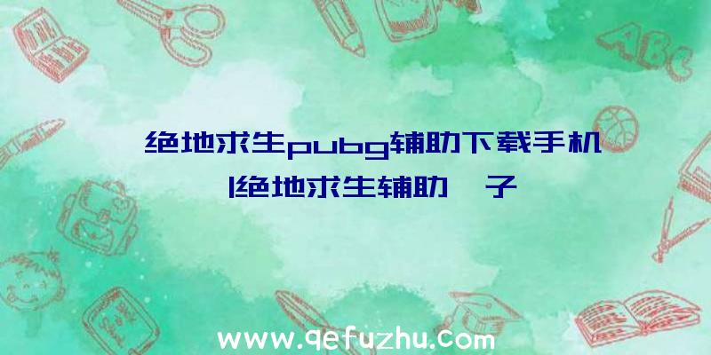 「绝地求生pubg辅助下载手机」|绝地求生辅助柚子